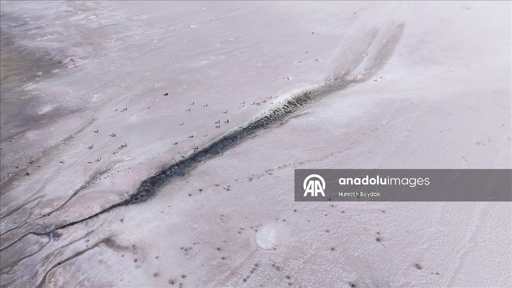 Преображение цвета озера Туз — завораживающее природное явление 7