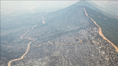 Sakarya'dan Bilecik tarafına sıçrayan orman yangınına müdahale sürüyor