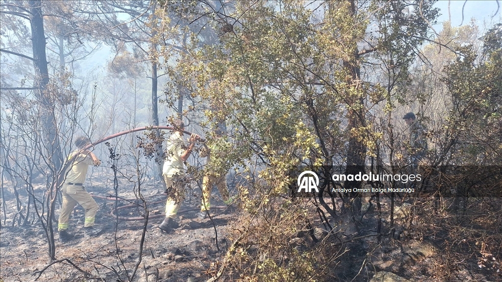 Antalya'nın Kaş ilçesinde çıkan orman yangını kontrol altına alındı