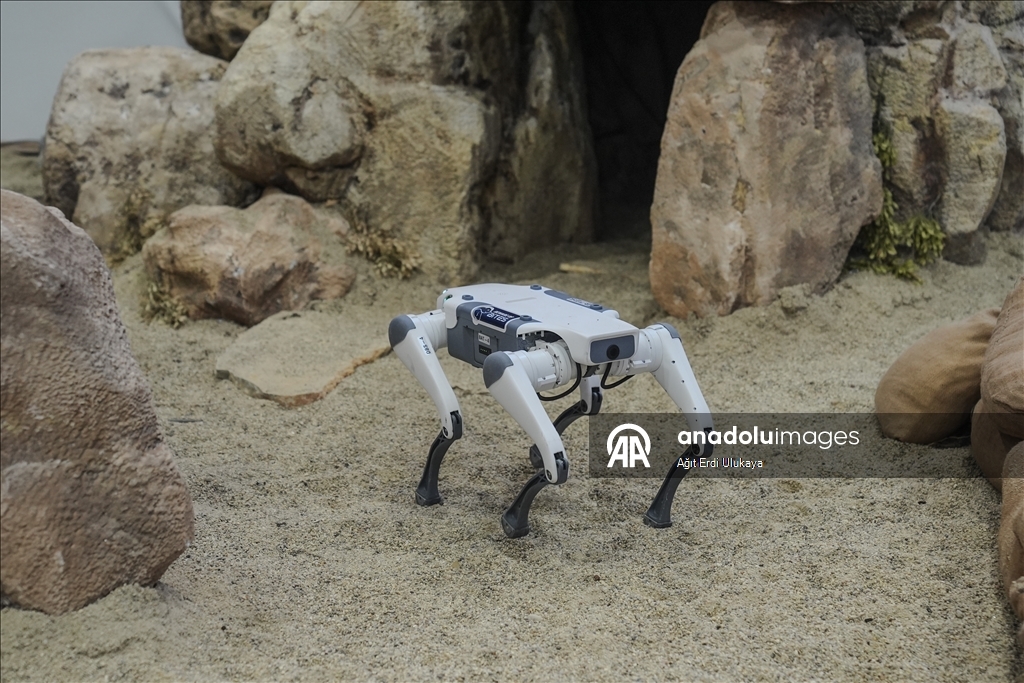 Robot dogs take the spotlight at IDEF 2025 in Istanbul