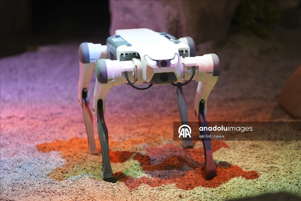 Robot dogs take the spotlight at IDEF 2025 in Istanbul