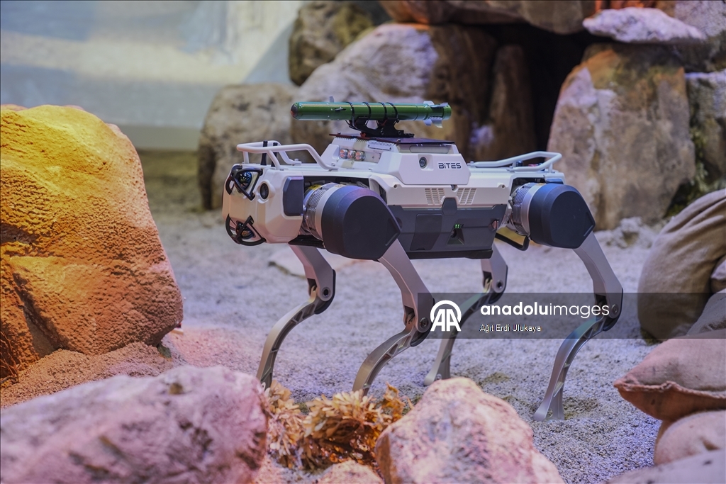 Robot dogs take the spotlight at IDEF 2025 in Istanbul