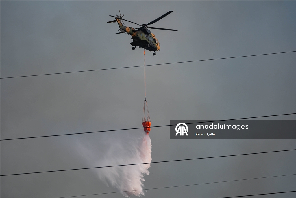 Manisa'da orman yangını