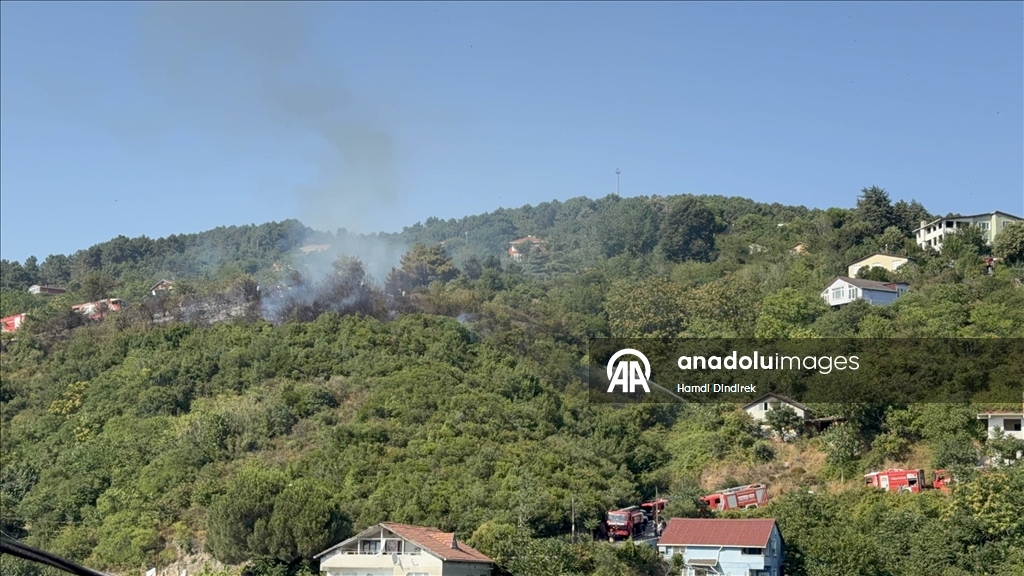 Beykoz'da ormanlık alanda çıkan yangın söndürüldü