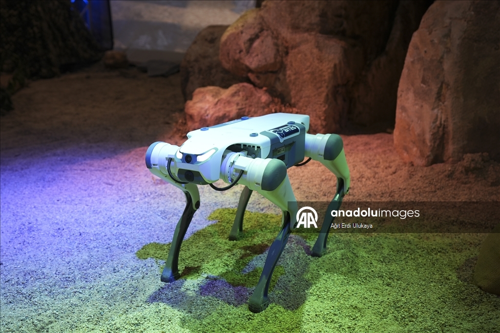 Robot dogs take the spotlight at IDEF 2025 in Istanbul