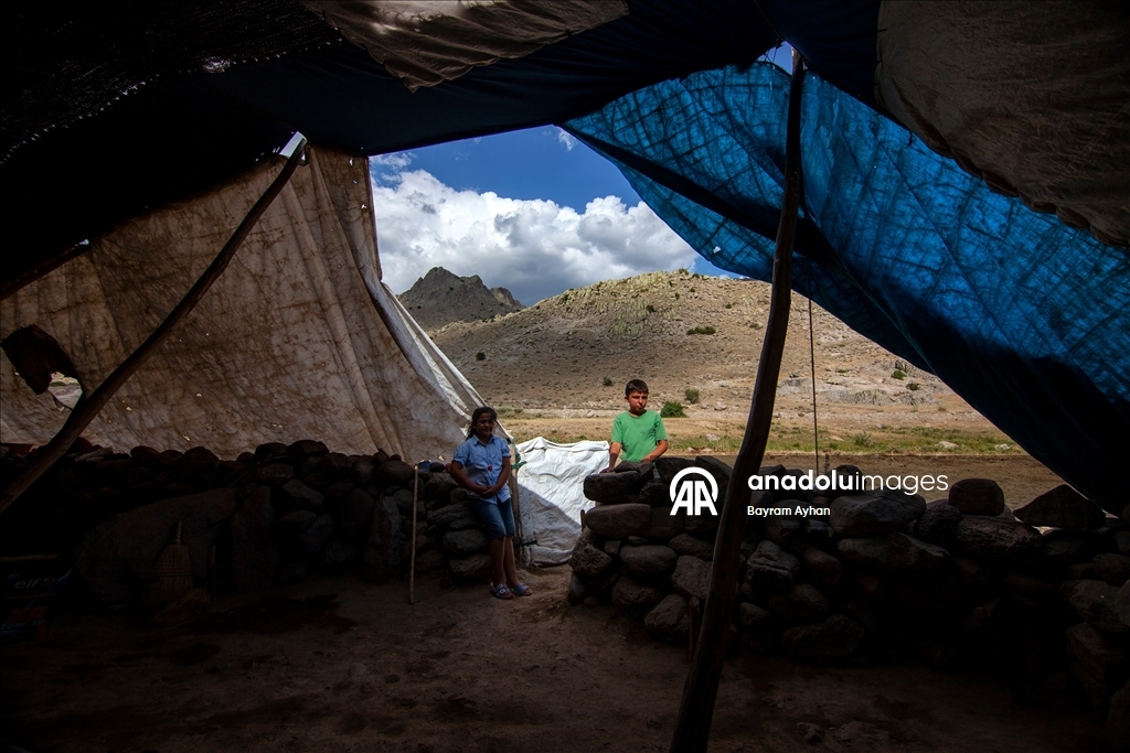 Sivas’ın Yama Dağı eteklerindeki yaylalar göçerlere ev sahipliği yapıyor