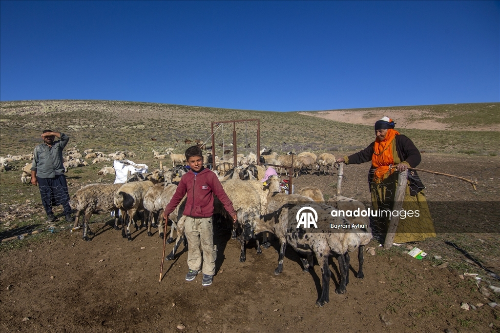 Sivas’ın Yama Dağı eteklerindeki yaylalar göçerlere ev sahipliği yapıyor