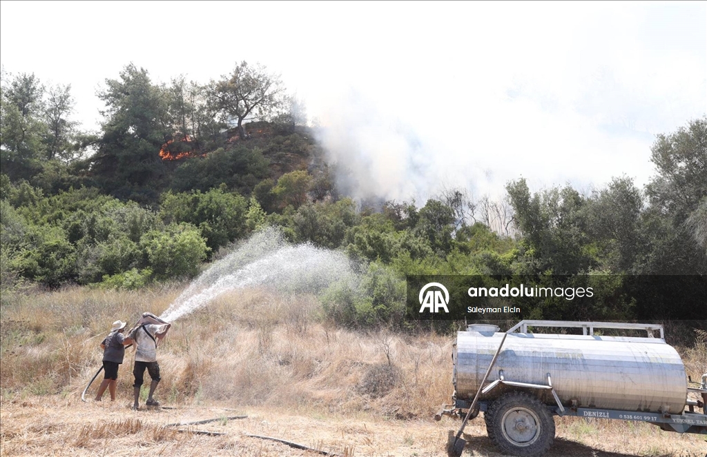 Antalya'da ormanlık alanlarda çıkan yangınlara müdahale ediliyor
