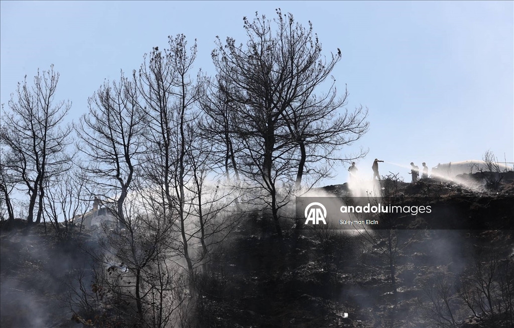 Antalya'da ormanlık alanlarda çıkan yangınlara müdahale ediliyor