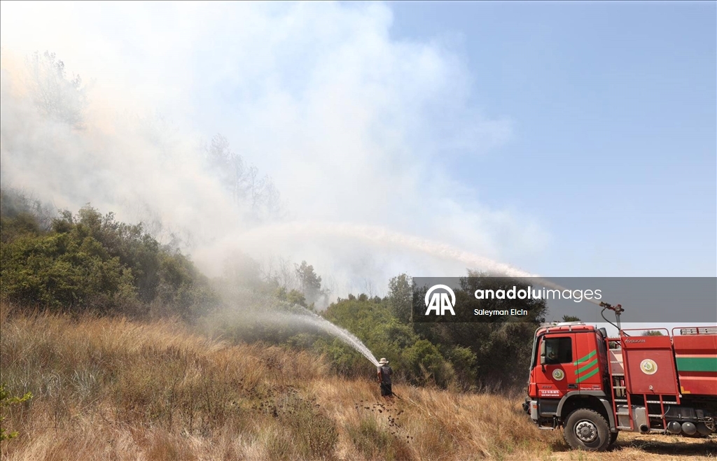 Antalya'da ormanlık alanlarda çıkan yangınlara müdahale ediliyor