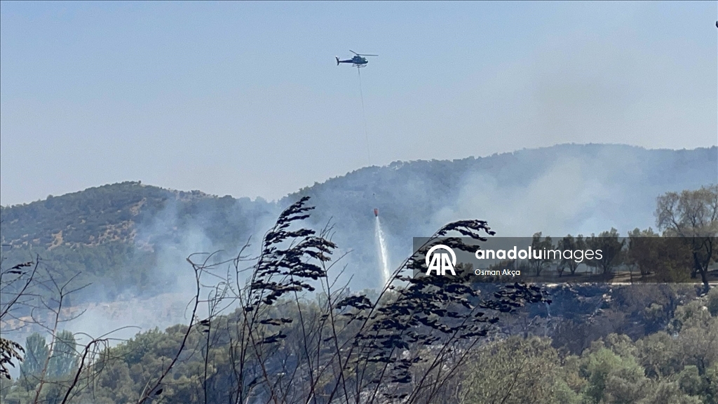 Muğla'da tarım alanında çıkan yangına müdahale ediliyor