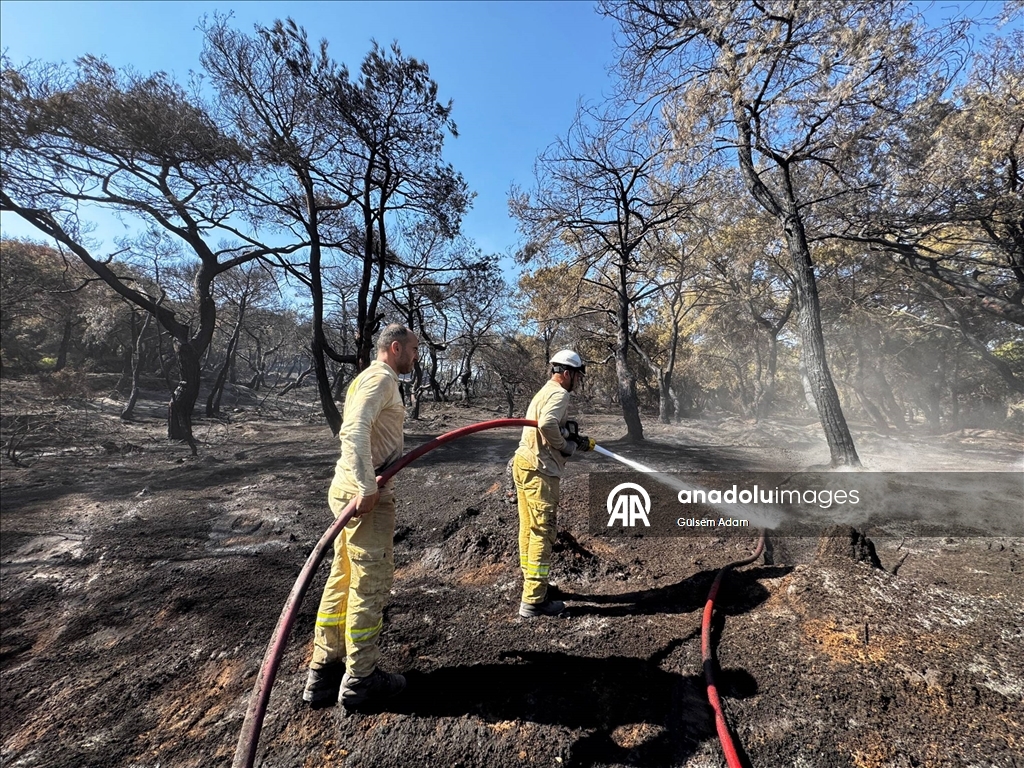 Antalya'da ormanlık alanlarda çıkan yangınlara müdahale ediliyor