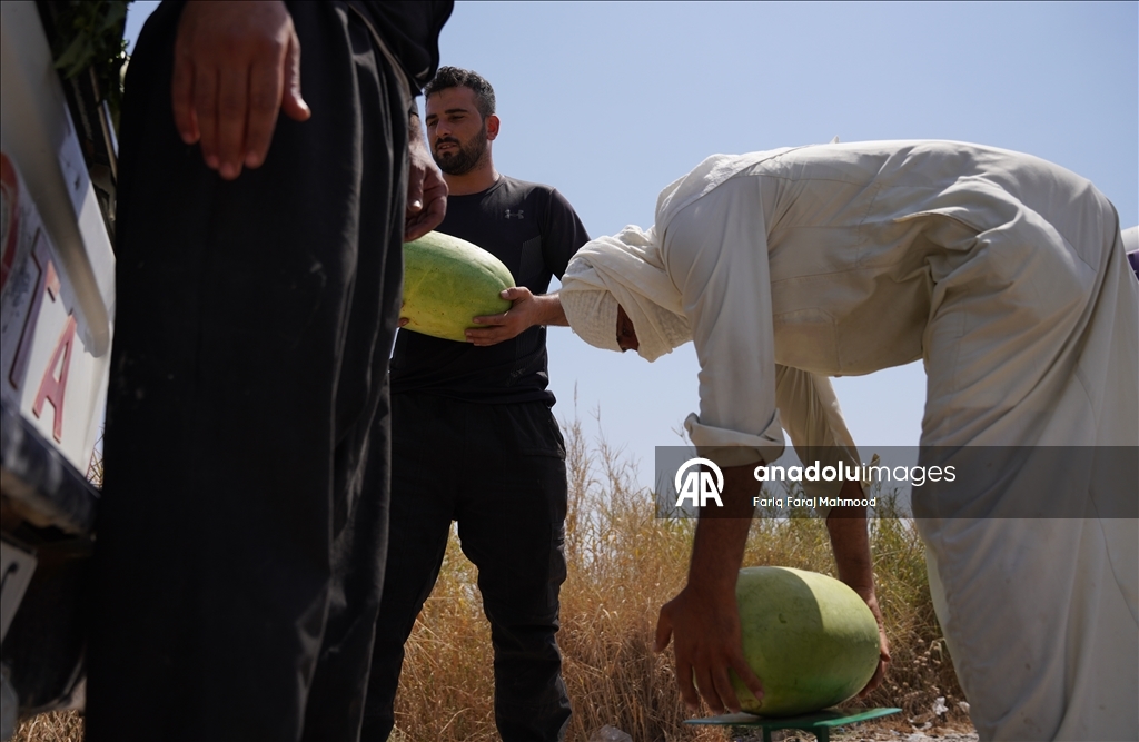 Temperatures reaching 50 degrees in Iraq negatively affect citizens