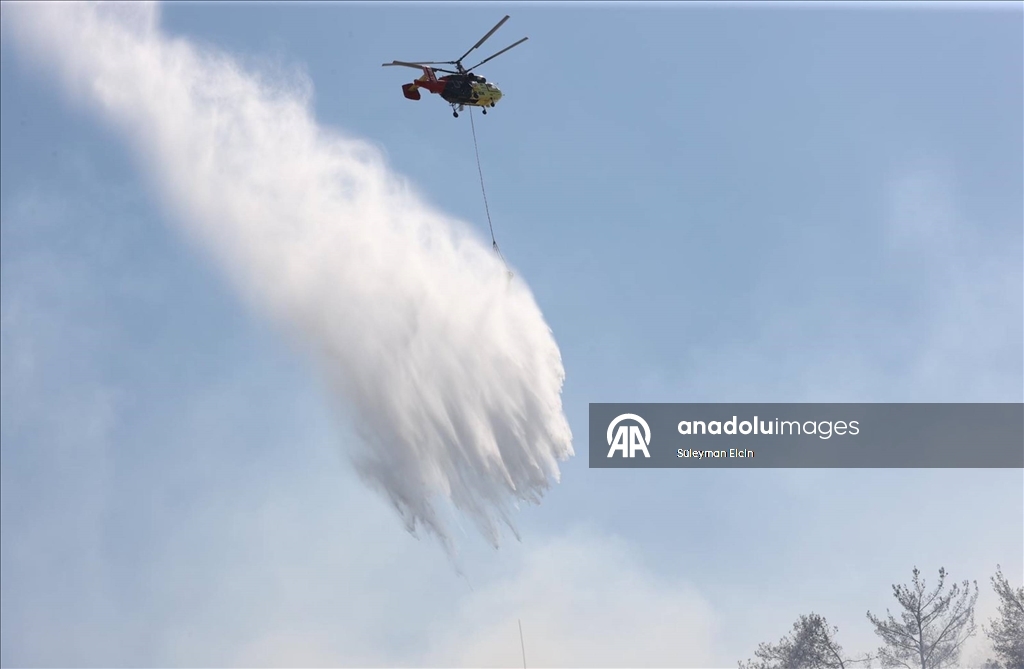 Antalya'da ormanlık alanlarda çıkan yangınlara müdahale ediliyor