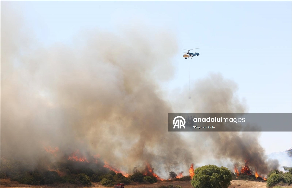 Antalya'da ormanlık alanlarda çıkan yangınlara müdahale ediliyor