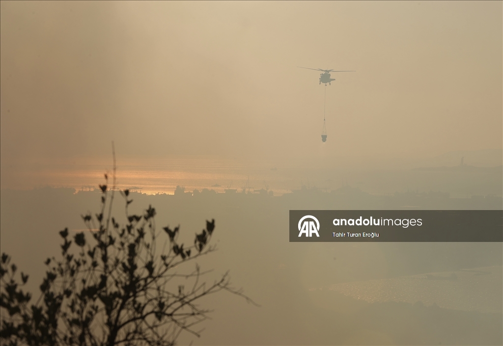 Kocaeli'de ormanlık alanda çıkan yangına müdahale ediliyor