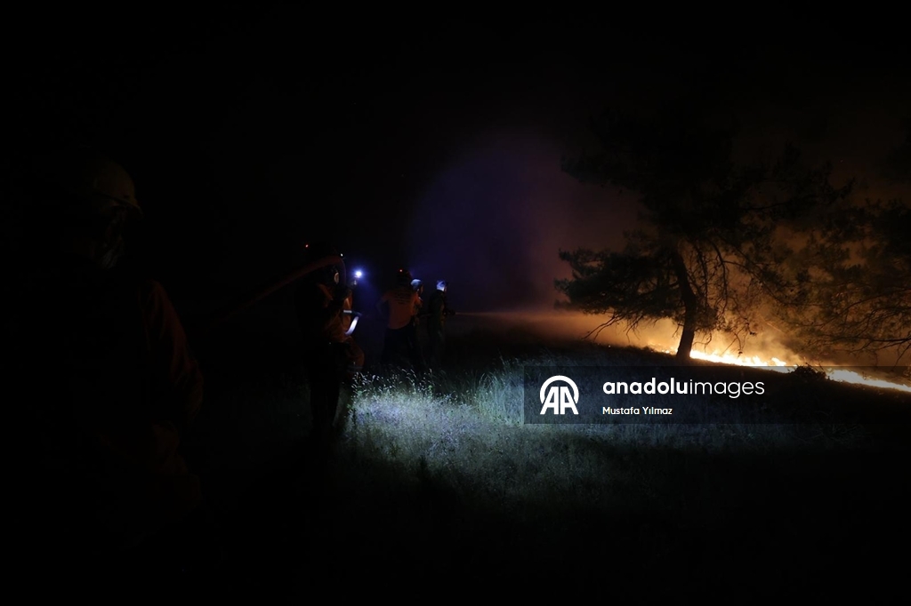 Yurdun farklı noktalarında devam eden orman yangınlarına havadan ve karadan müdahale sürüyor