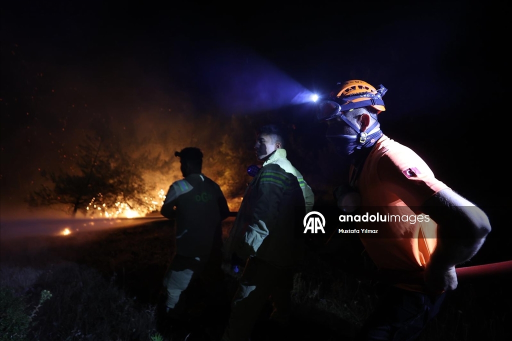 Yurdun farklı noktalarında devam eden orman yangınlarına havadan ve karadan müdahale sürüyor