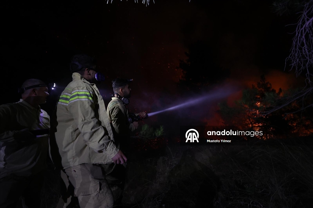 Yurdun farklı noktalarında devam eden orman yangınlarına havadan ve karadan müdahale sürüyor