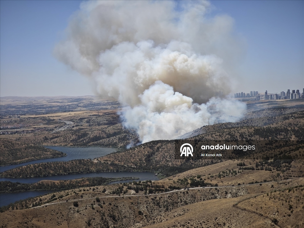 Ankara’da ormanlık alanda yangın çıktı
