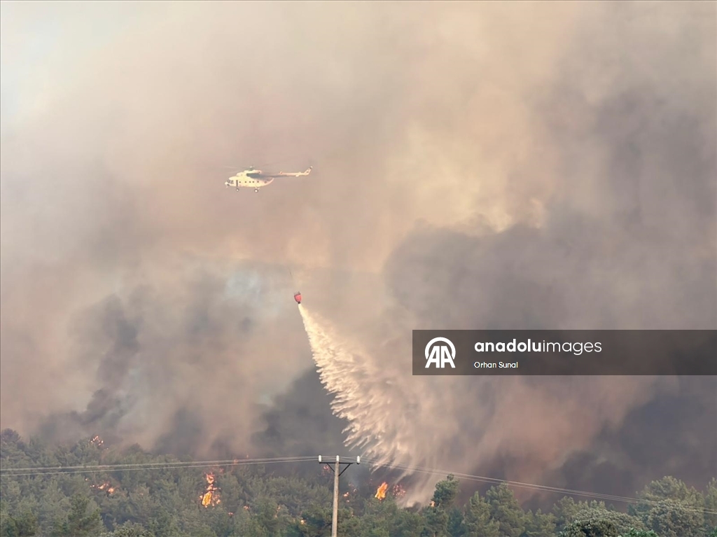 Uşak'ta orman yangınına müdahale ediliyor
