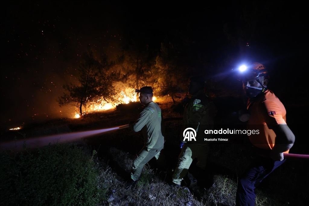 Yurdun farklı noktalarında devam eden orman yangınlarına havadan ve karadan müdahale sürüyor