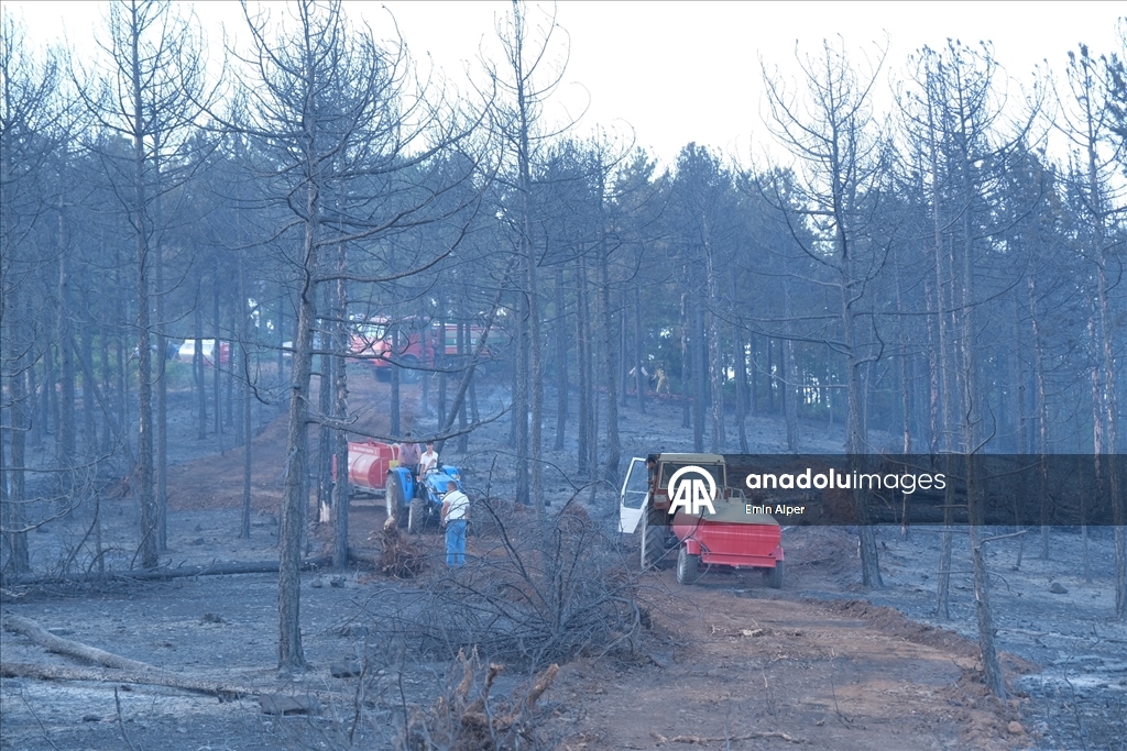 Bursa'da çıkan orman yangınına müdahale ediliyor