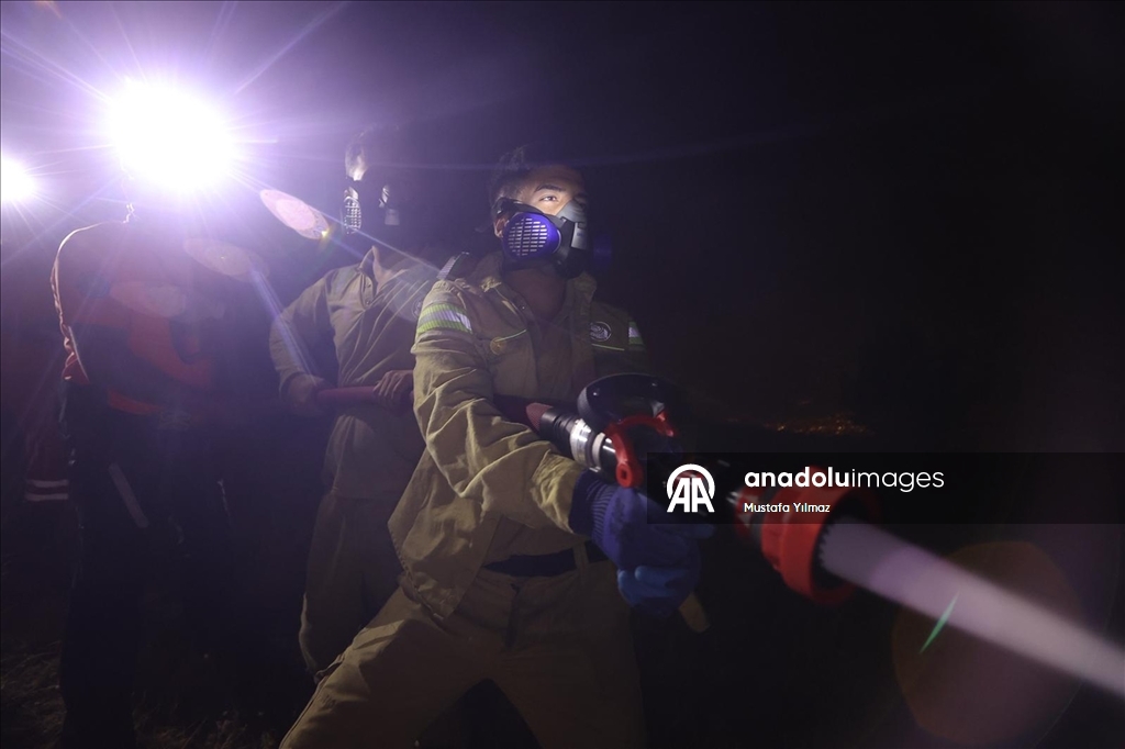 Yurdun farklı noktalarında devam eden orman yangınlarına havadan ve karadan müdahale sürüyor