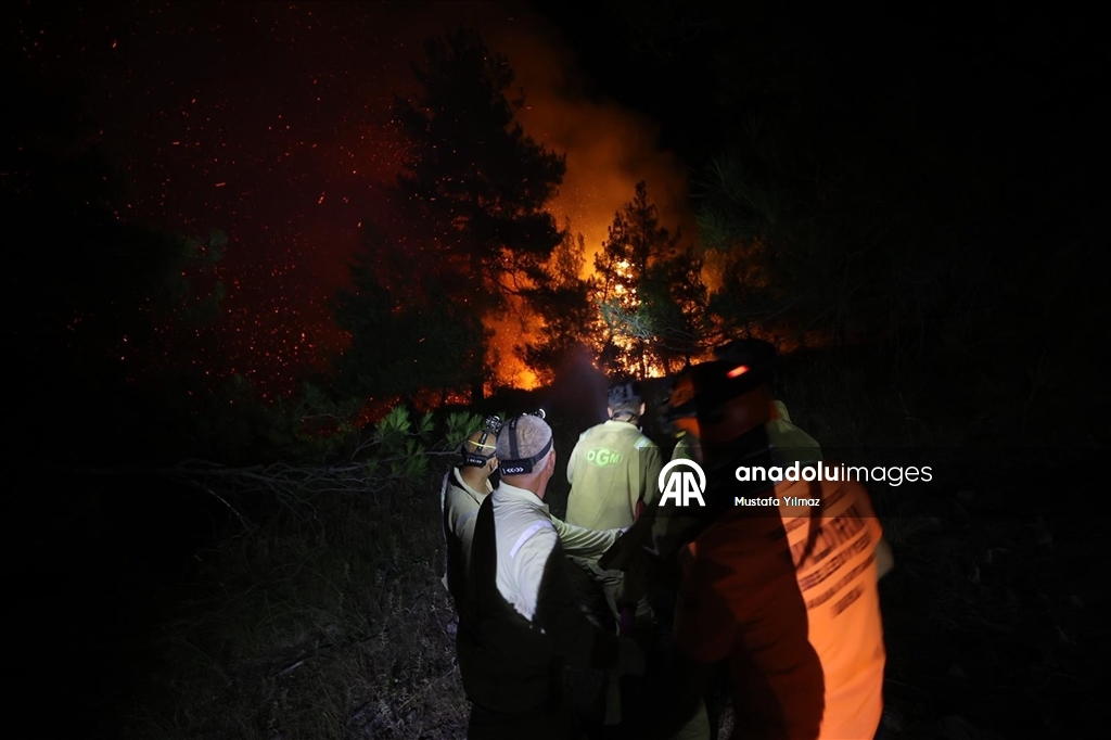 Yurdun farklı noktalarında devam eden orman yangınlarına havadan ve karadan müdahale sürüyor