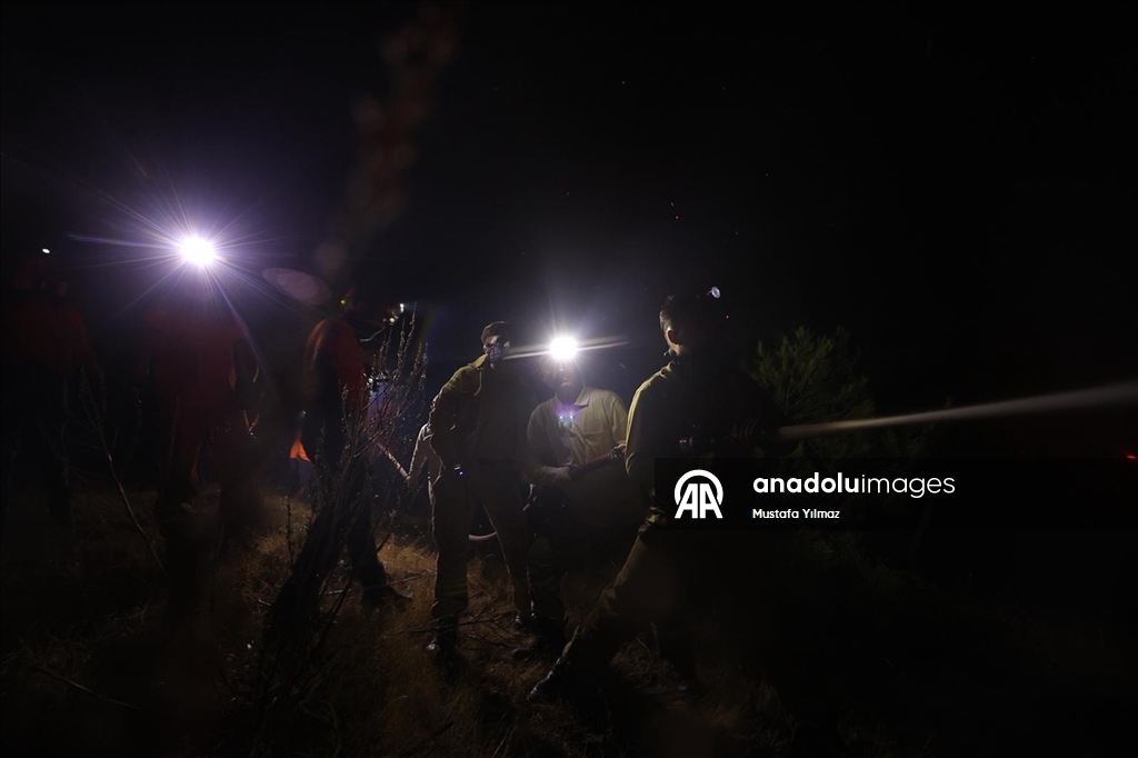 Yurdun farklı noktalarında devam eden orman yangınlarına havadan ve karadan müdahale sürüyor