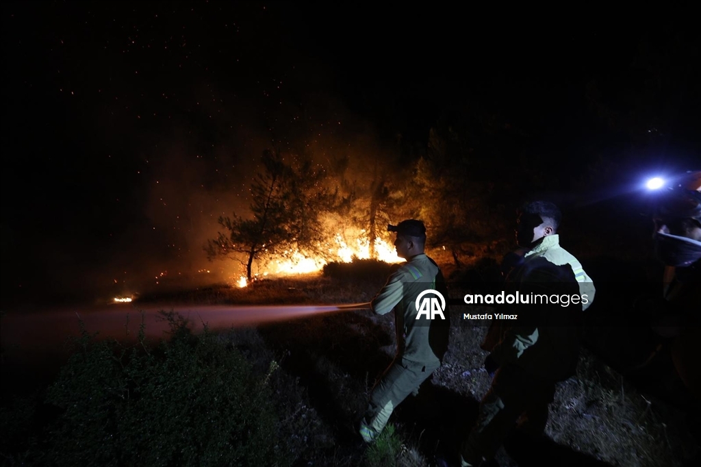 Yurdun farklı noktalarında devam eden orman yangınlarına havadan ve karadan müdahale sürüyor