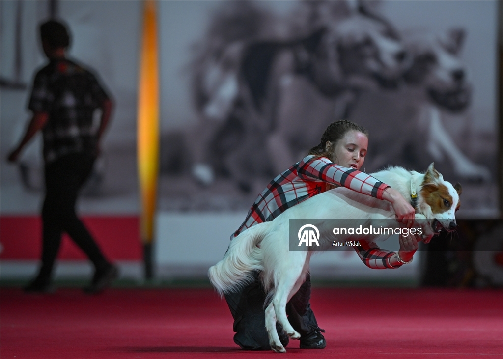 SuperDogs Steal the Show at K-Days 2025 in Edmonton