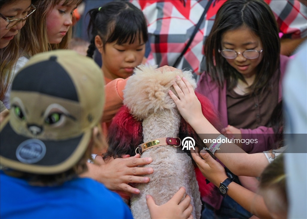 SuperDogs Steal the Show at K-Days 2025 in Edmonton
