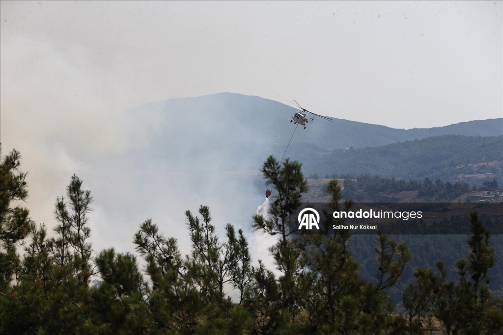 Farklı illerde çıkan orman yangınlarına havadan ve karadan müdahale sürüyor