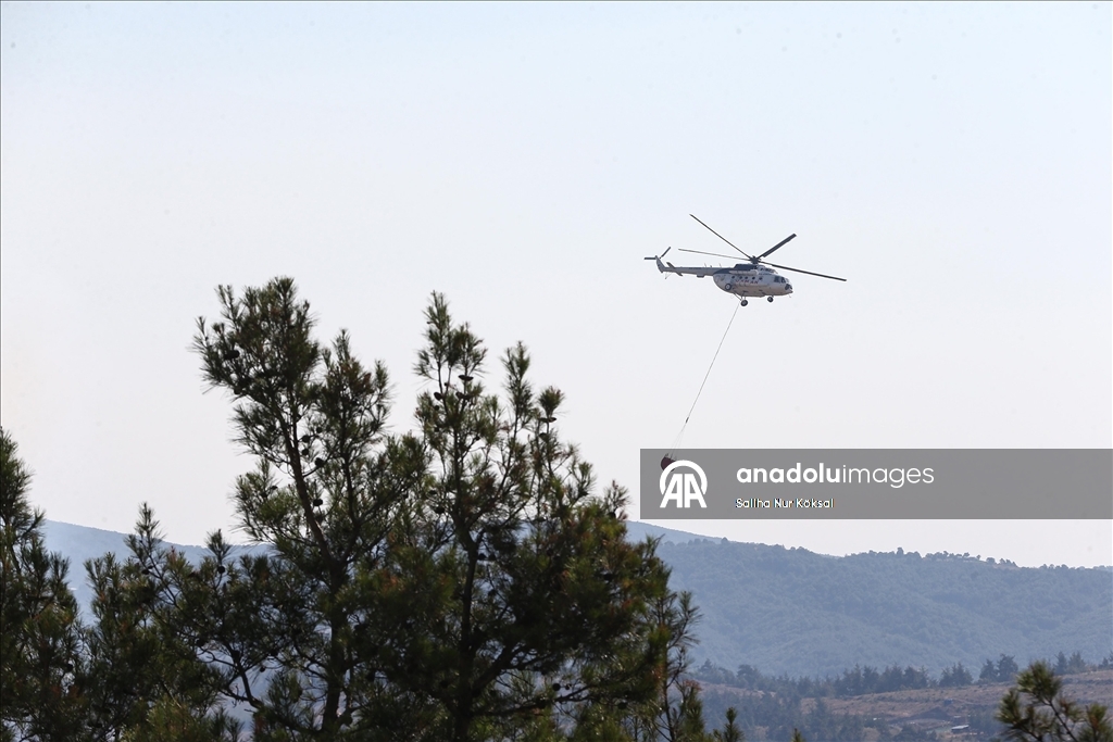 Farklı illerde çıkan orman yangınlarına havadan ve karadan müdahale sürüyor