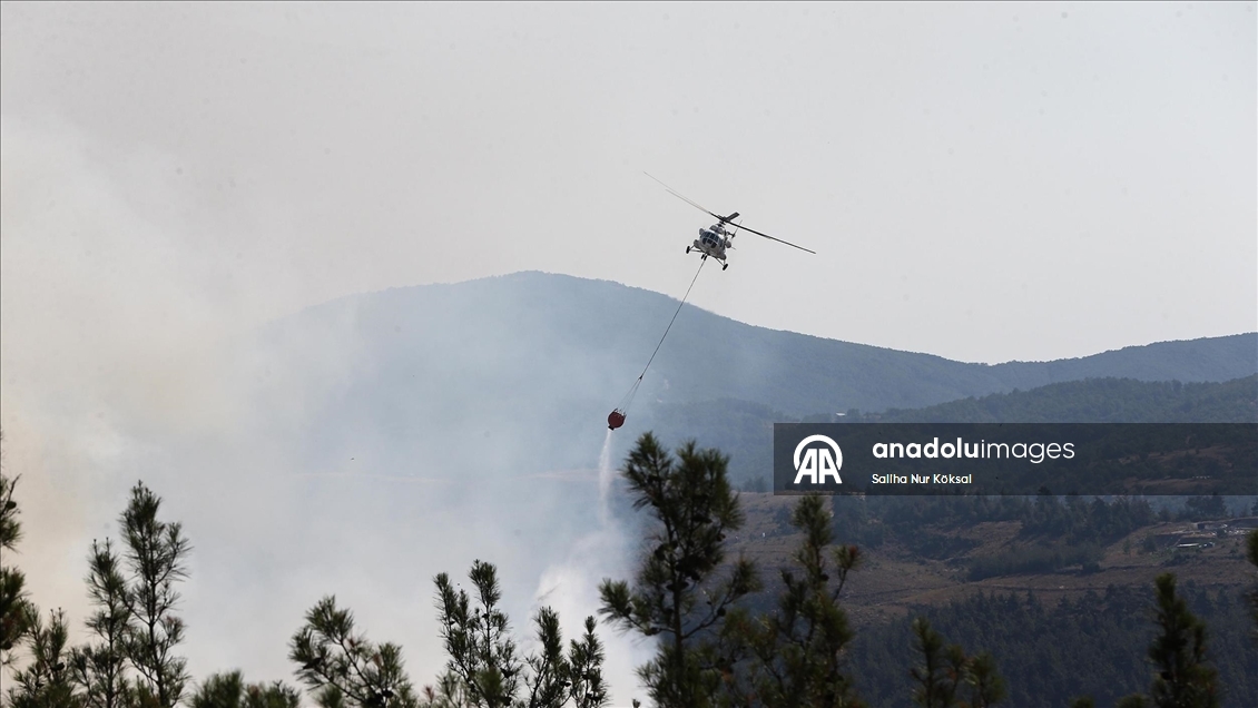Farklı illerde çıkan orman yangınlarına havadan ve karadan müdahale sürüyor