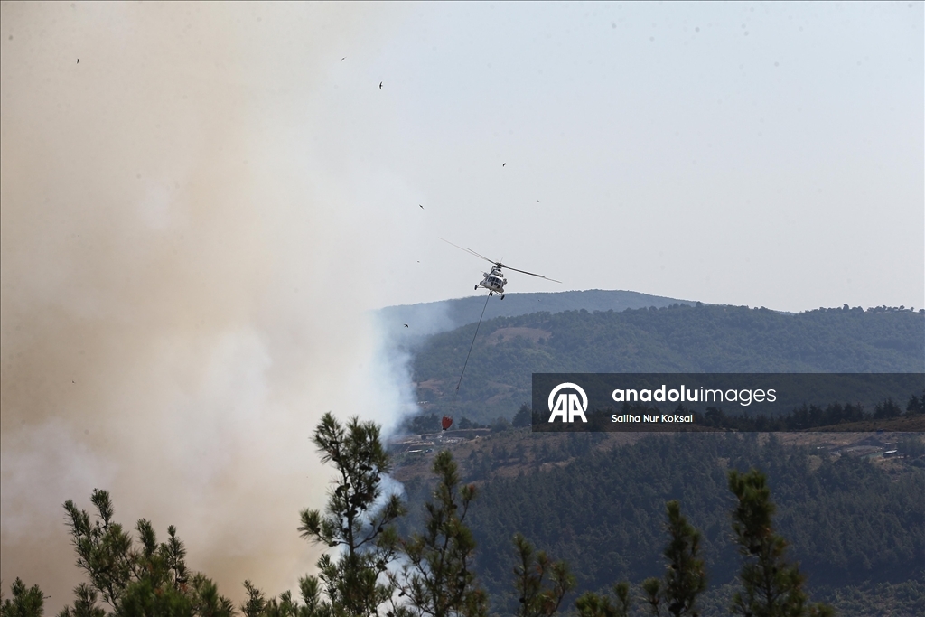 Farklı illerde çıkan orman yangınlarına havadan ve karadan müdahale sürüyor