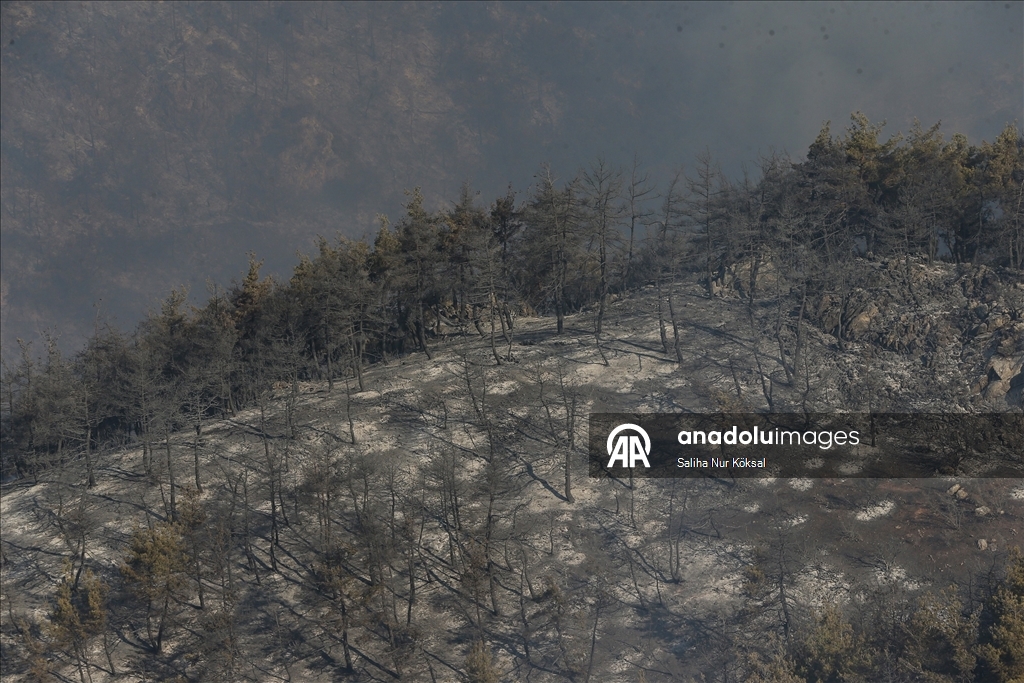 Farklı illerde çıkan orman yangınlarına havadan ve karadan müdahale sürüyor