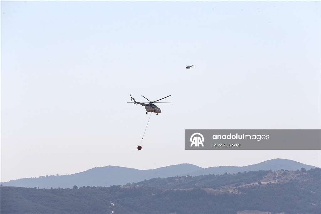 Farklı illerde çıkan orman yangınlarına havadan ve karadan müdahale sürüyor