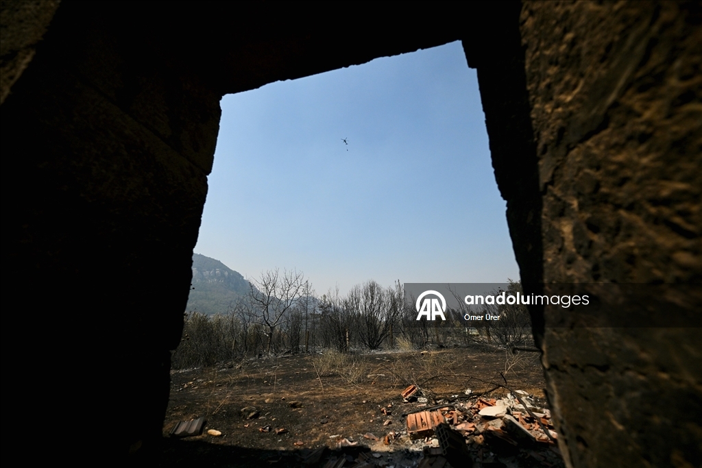 Farklı illerde çıkan orman yangınlarına havadan ve karadan müdahale sürüyor