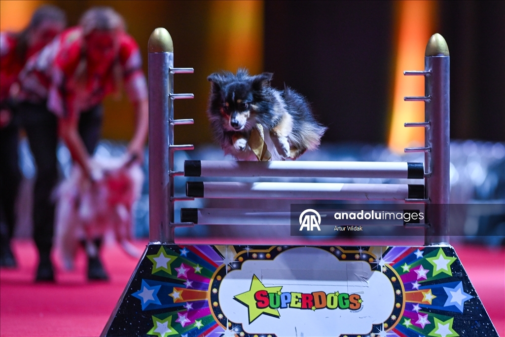 SuperDogs Steal the Show at K-Days 2025 in Edmonton