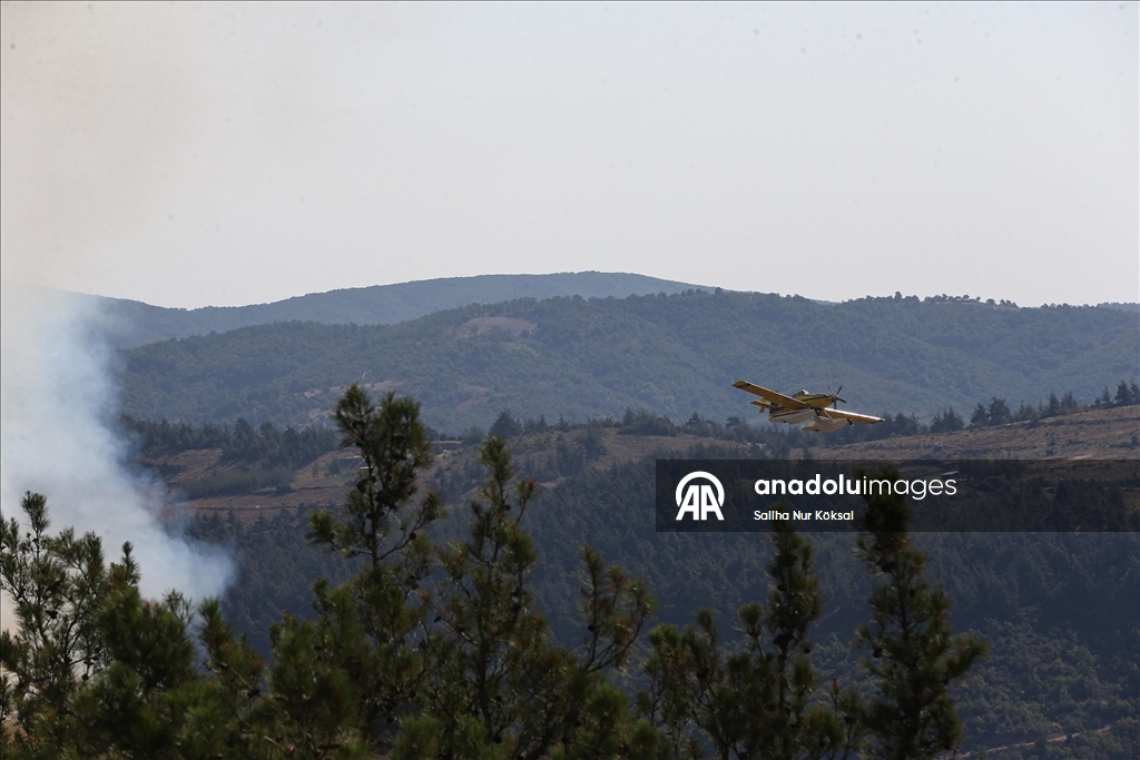 Farklı illerde çıkan orman yangınlarına havadan ve karadan müdahale sürüyor