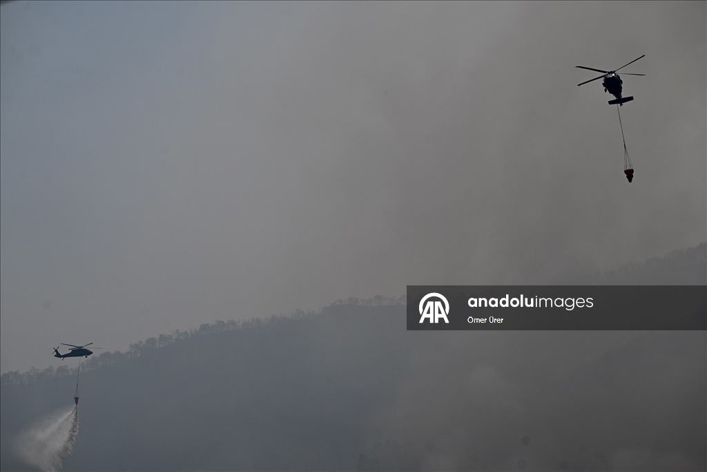 Farklı illerde çıkan orman yangınlarına havadan ve karadan müdahale sürüyor