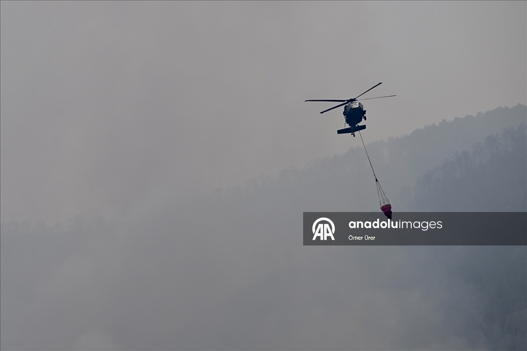 Farklı illerde çıkan orman yangınlarına havadan ve karadan müdahale sürüyor