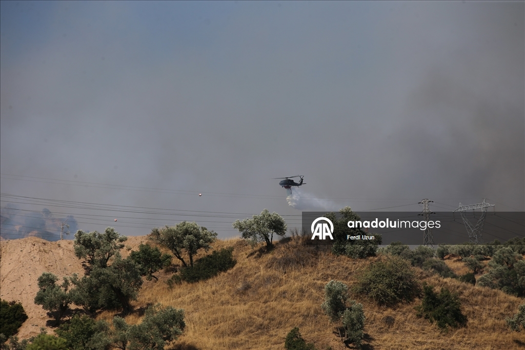 Farklı illerde çıkan orman yangınlarına havadan ve karadan müdahale sürüyor