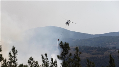 Farklı illerde çıkan orman yangınlarına havadan ve karadan müdahale sürüyor