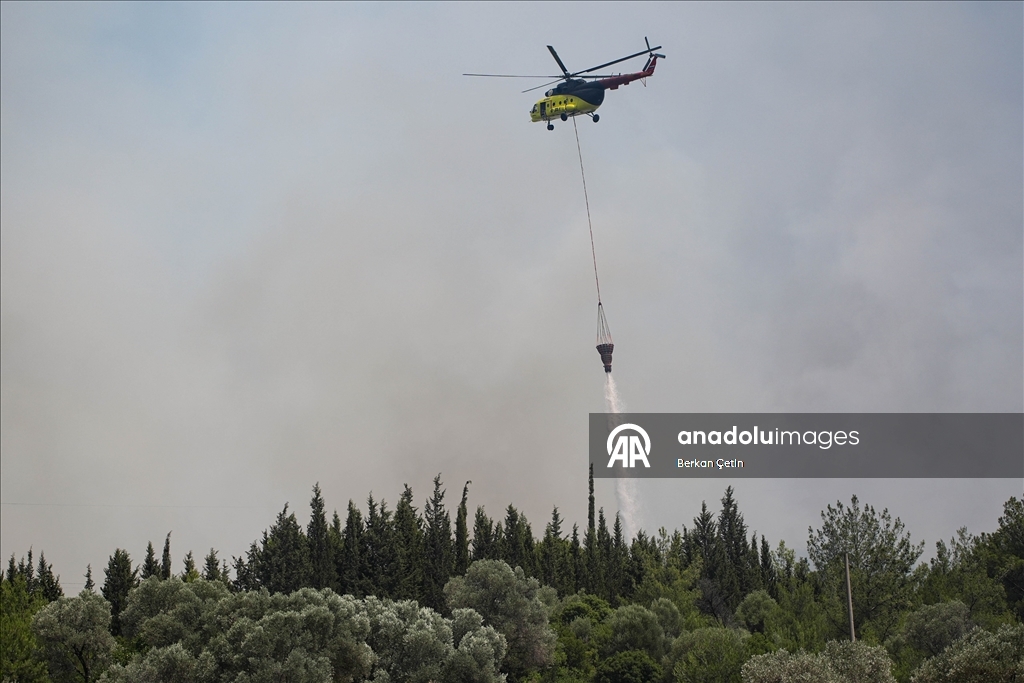 Orman yangınlarına müdahale ediliyor