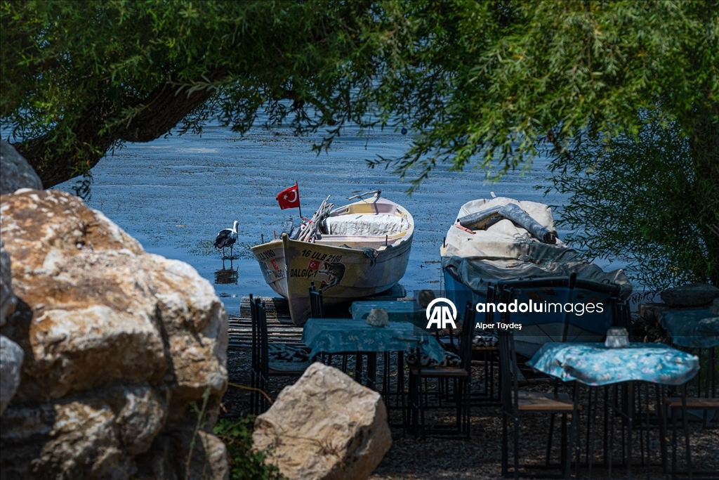 Gölyazı’da doğa ve insan yan yana