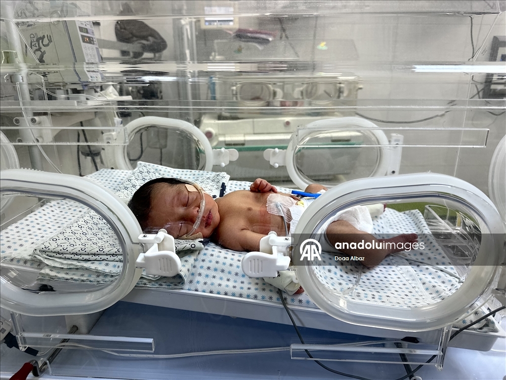 Newborns in Gaza struggle with lack of formula and medicine