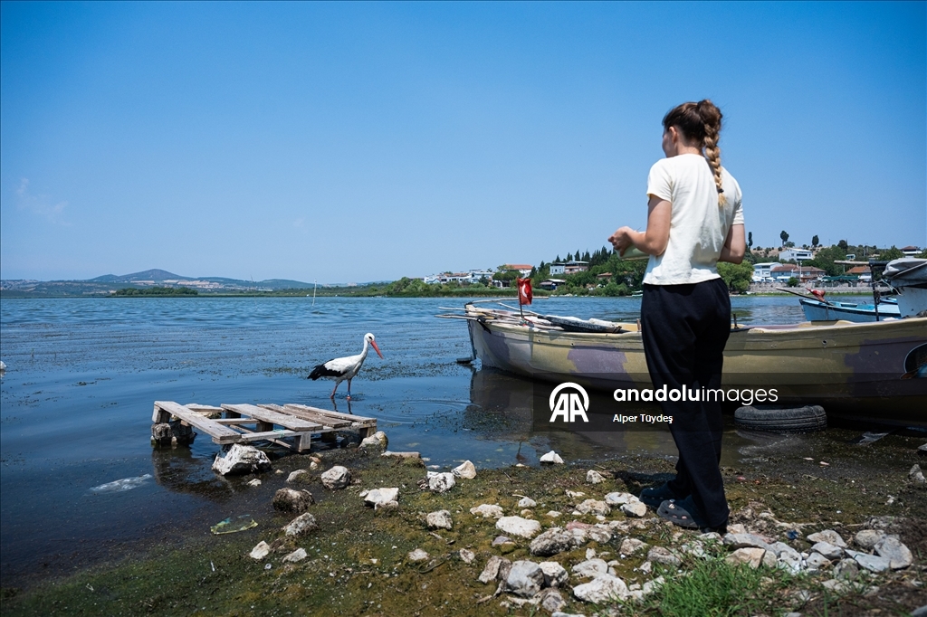 Gölyazı’da doğa ve insan yan yana